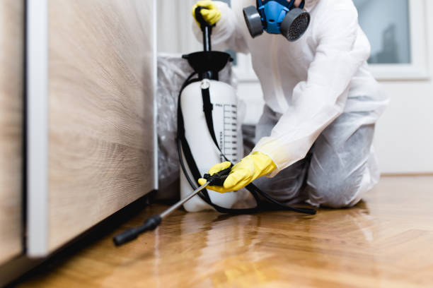 Best Pest Prevention Services  in Tulia, TX
