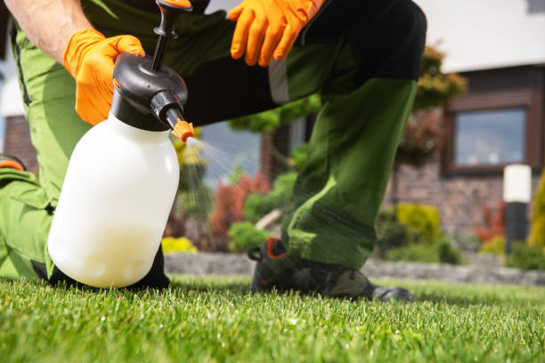 Best Commercial Pest Control Services  in Tulia, TX