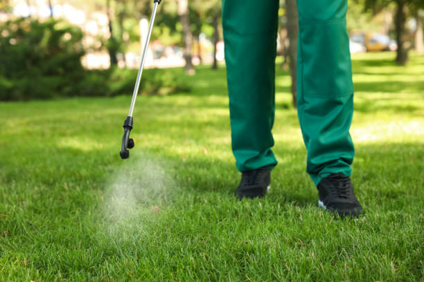 Best Cockroach Control Services  in Tulia, TX