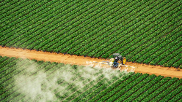 Best Mosquito Control Services  in Tulia, TX