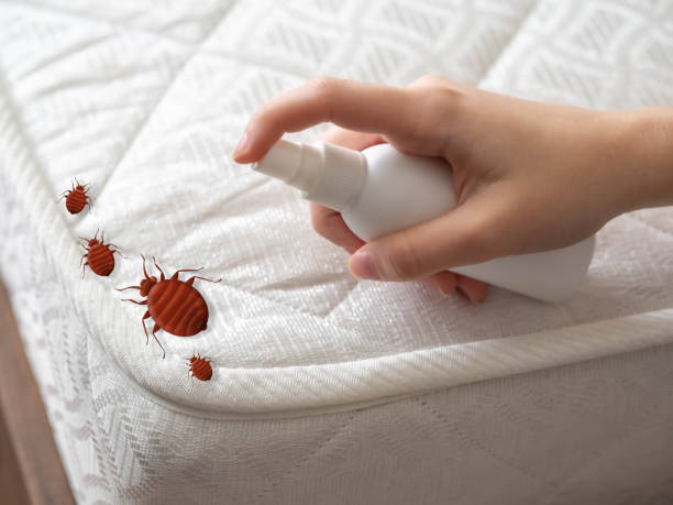 Best Affordable Pest Control Services  in Tulia, TX