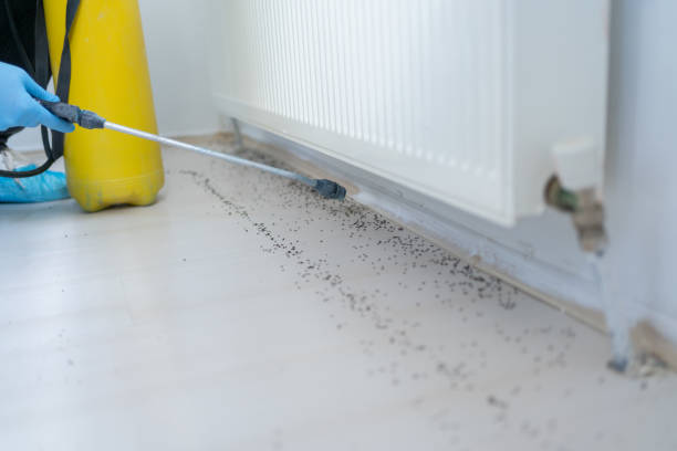 Best Bed Bug Extermination  in Tulia, TX