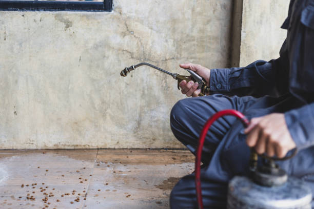 Best Flea Control Services  in Tulia, TX