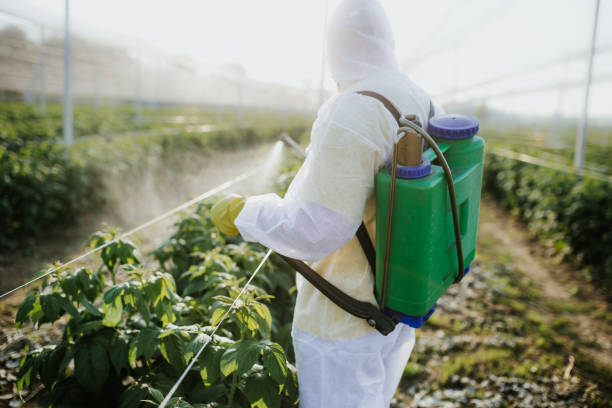 Best Wildlife Control Services  in Tulia, TX